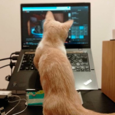 tachibana_7109's profile picture. 【目標は億ソロプレナーです。】Z世代|MBTI:INFJ-T(提唱者)|個人ビジネスOS 5A2GyroFrameを開発しています|有償インターンで7日EC開発企業に潜入・クラウド系企業に1年だけいた|(@shosai_gomori)|Like:Windsurf/Obsidian/Notion/Apple/短足猫