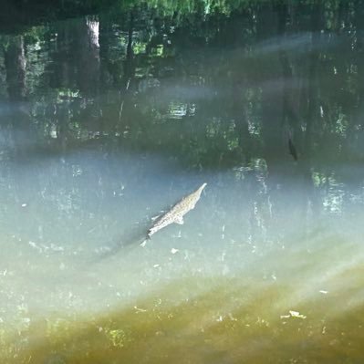 azeon1999's profile picture. 