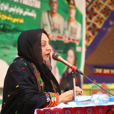 Hinashahjillani Profile Picture