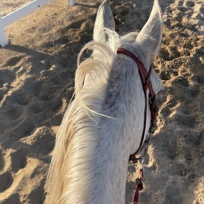 la_lune11's profile picture. في الطّرف الرقيق دائمًا 🍃