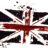 doggingbritain's profile image