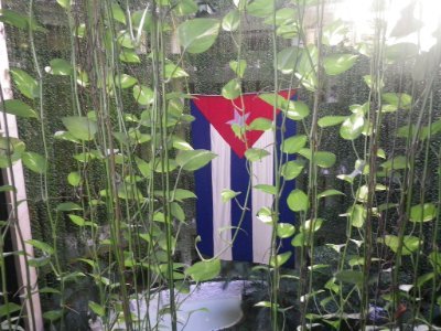 crystal06147's profile picture. 