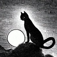 CelCicekli (@celsius62346897) 's Twitter Profile Photo CelCicekli (@celsius62346897) 's Twitter Profile Photo