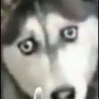 yhbgtrfvcink's profile picture. 