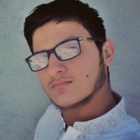 Muhammad Huzaifa (Biotech | Bioinfo | Genomic) (@muhammadhu25012) 's Twitter Profile