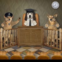 geezzz (@donbaggisco) 's Twitter Profile