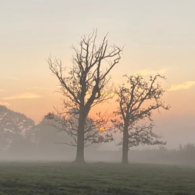 Marvelous Mole Valley is the generic name of anything being done to show or celebrate things that make Mole Valley District Wonderful!