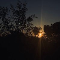 Shahd (@sha_m_1) 's Twitter Profile