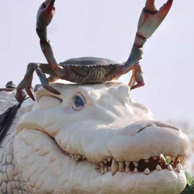 AGrigga's profile picture. 