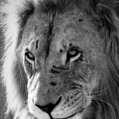 DavidLauren_'s profile picture. Before, when you're unknown and you're struggling, every day is an unknown X-Factor, you don't know where you're going