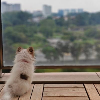 chadagorry's profile picture. you're on your own in the real world