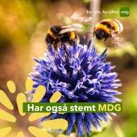 Lars K. Giæver (@gronnlars) 's Twitter Profile Photo