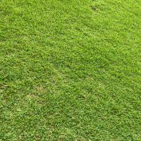 mike045 (@mike045777) Twitter profile photo