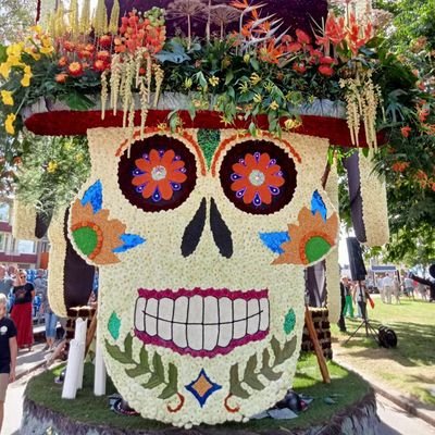 nomyen33's profile picture. 