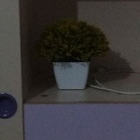 Mustafa (@y19051906) Twitter profile photo