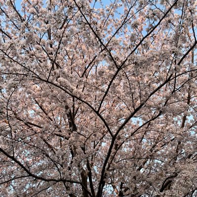 #コミュ障ママのつぶやき/中学部活の保護者活動無理/女性団体が特に苦手/体調悪い体力もなし/PTAは最低限/平社員共働きIT/コロナ禍よりフルリモで鬱、コミュ障に拍車/食べ物好き/痩せる/具体的な呟きは後で消すかもしれない小心者🙇♀️/いいね嬉しくて返したいタイプ