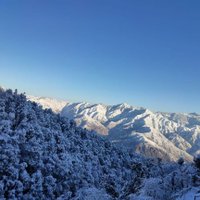 AJSM (@miesingh) 's Twitter Profile