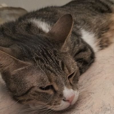 Dnarix87's profile picture. 