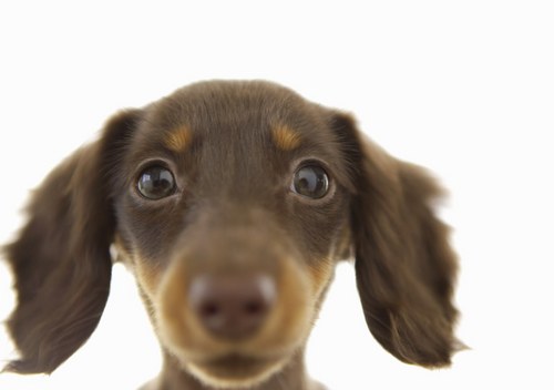 Suran_CHN's profile picture. su