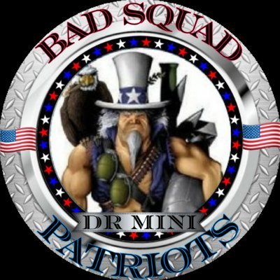 drmini14 🦅🇺🇸 Profile