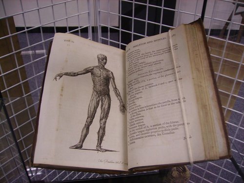 Bonjour à tous !
Je vend des livres pour étudiants :médecine, paramédical et psycho. Une rubrique divers va bientôt paraitre. Toutes les infos sur mon blog !