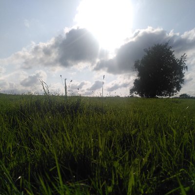 blueskybeliever's profile picture. 