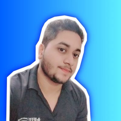 STUDENT AT JAMIA HAMDARD | ARTIFICIAL INTELLIGENCE | WEB AND ANDROID DEVELOPMENT