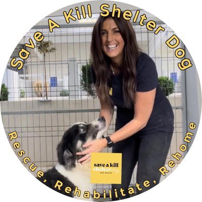 We rescue Dogs from kill shelters. We assess, socialise, & rehabilitate them; in readiness for lovely UK 🇬🇧 homes! Pls support our work & donate! Thanks 🐶