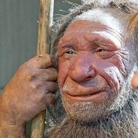 Fred Flintstone (@nunyamfnbidness) 's Twitter Profile