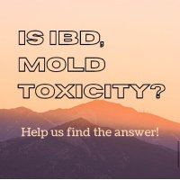 Is IBD Mold Toxicity?(@IBD_is_Mold) 's Twitter Profile Photo