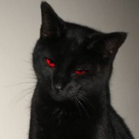 🐈⬛ (@cumshawty) 's Twitter Profile