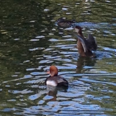 Faipop's profile picture. take your time to cool your mind