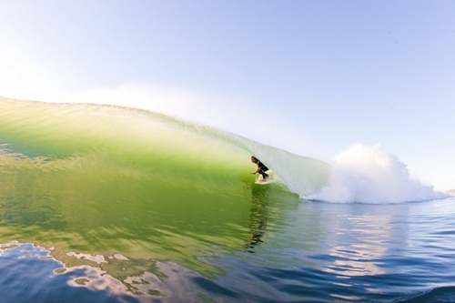 I surf therefore I am. CCFC PUSB! 'That's well no way'