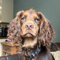 Amy Morgan (@amymorgan23) 's Twitter Profile