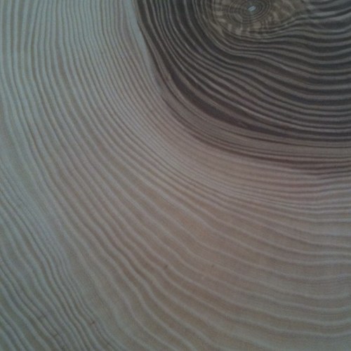 Isla101's profile picture. 