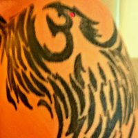 Snapbackbb215 (@snapbackbb215) 's Twitter Profile
