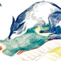ん (@hundeinsel) 's Twitter Profile Photo
