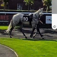 CM (@chris66therigg) 's Twitter Profile Photo