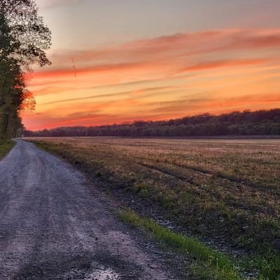 coachskif's profile picture. Retired hockey player, University of Denver Alumni, Sports Fan, husband, and JC and Liberty Dad. 
Project Manager/Lead Integrator at United Launch Alliance.