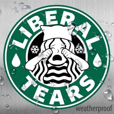 CapitalIntSteve's profile picture. 