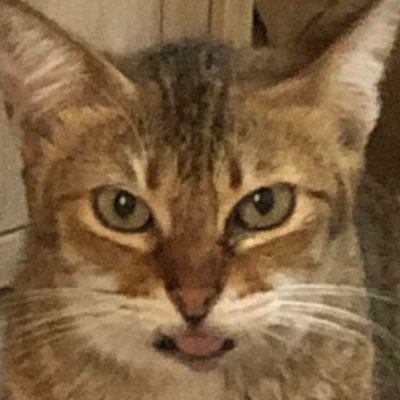 .さんのプロフィール画像