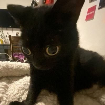 oluankkkkさんのプロフィール画像