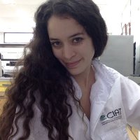 Alejandra Gil-Ordóñez(@OrdoGil) 's Twitter Profile Photo