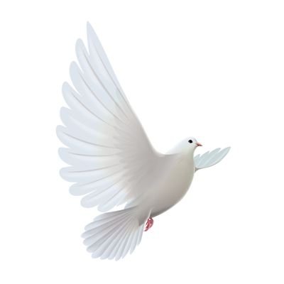 BukitHarimau's profile picture. #RacingPigeons
#BelajarMembacaAksaraJawa
