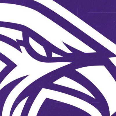 The official Twitter for Tennessee Tech's Esports Club. Follow us for all news about on-campus events, off-campus events, and our matches!