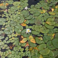 Misti (@chemisti_) 's Twitter Profile