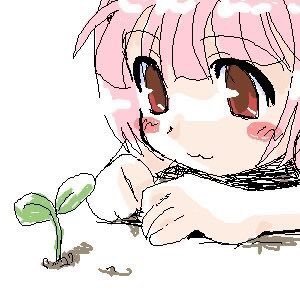 javajcy's profile picture. dms open !