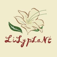 LiLy pLaNt (@lilipla_0501) 's Twitter Profile Photo