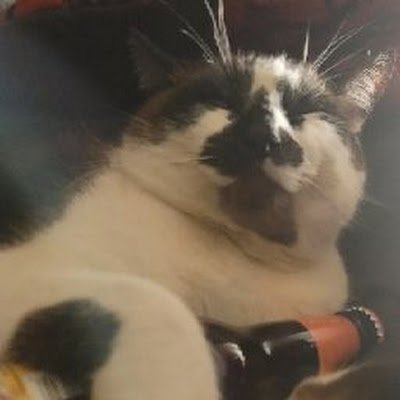 DrunkKitty01230's profile picture. 