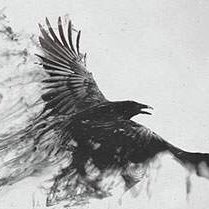 takahisa_merani's profile picture. BORDER BREAKのゲームをやっておりました(最高ランクAAA2、ユニオンLV999)。今はなも無いレイブン兼DDRerです。最近VTuberにハマってるらしいですよ。AZKi推し #開拓者 ＃ろぼさー ＃ルイ友